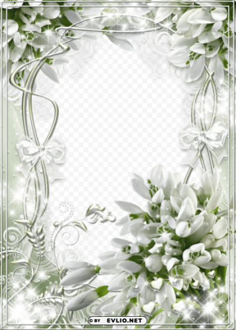 beautiful white soft frame with snowdrops High-resolution transparent PNG images comprehensive assortment