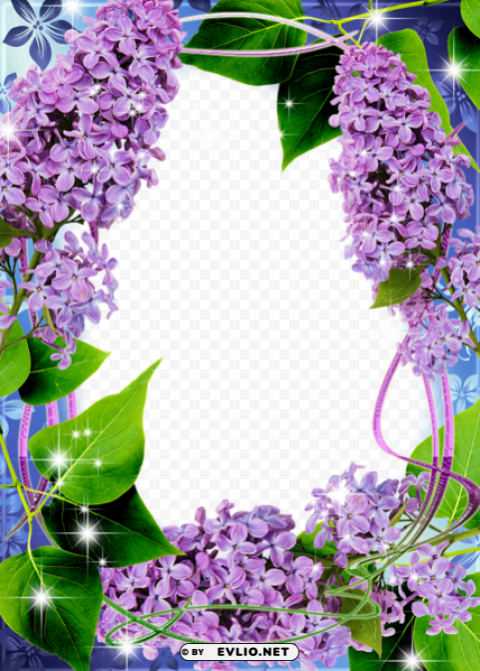 beautifulframe with lilac HighQuality PNG Isolated on Transparent Background