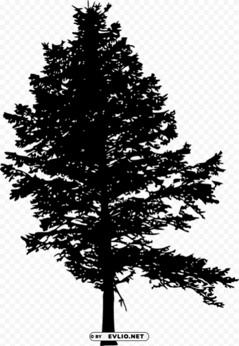 pine tree silhouette Transparent PNG Illustration with Isolation