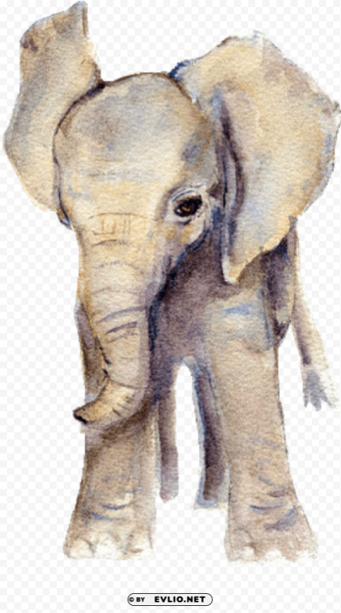 elephant Transparent PNG Isolated Subject