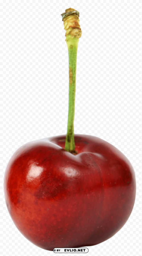 ripe cherry Isolated Design in Transparent Background PNG