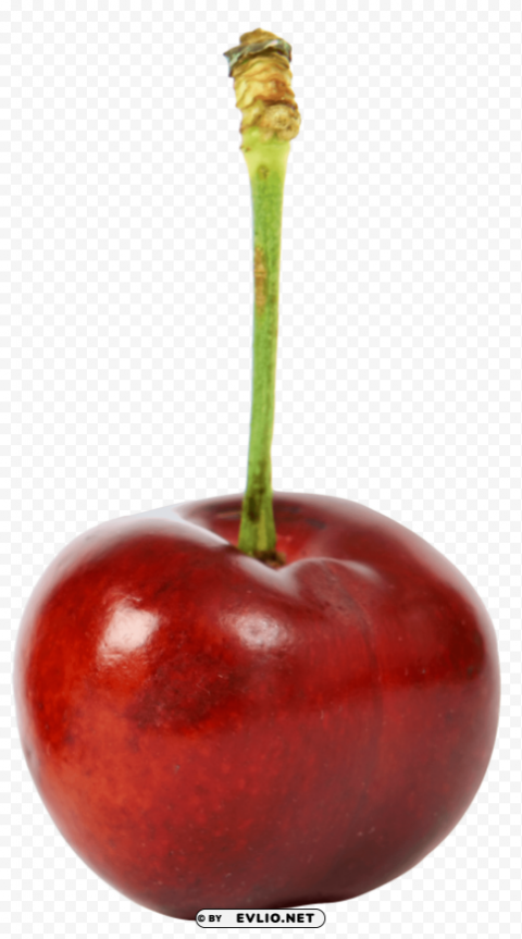 Sweet Ripe Cherry Isolated Artwork On Clear Transparent PNG