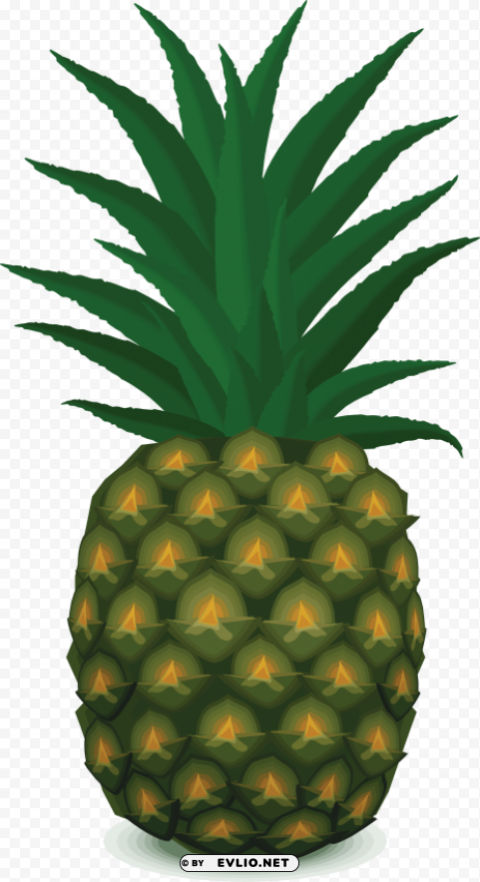 pinapple clipart Transparent PNG images complete package clipart png photo - aabb4cb9