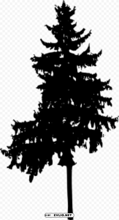 Pine Tree Silhouette PNG with Clear Isolation on Transparent Background