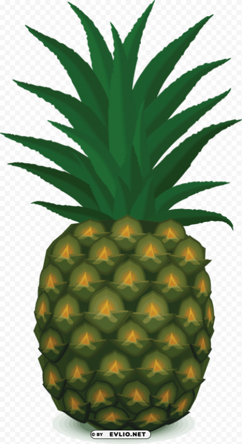 pineapple HighQuality PNG Isolated Illustration