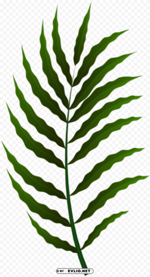 Green Leaf PNG Graphic With Transparent Background Isolation