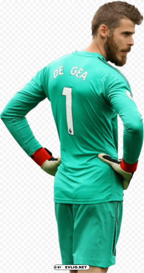 david de gea PNG Graphic with Transparent Isolation