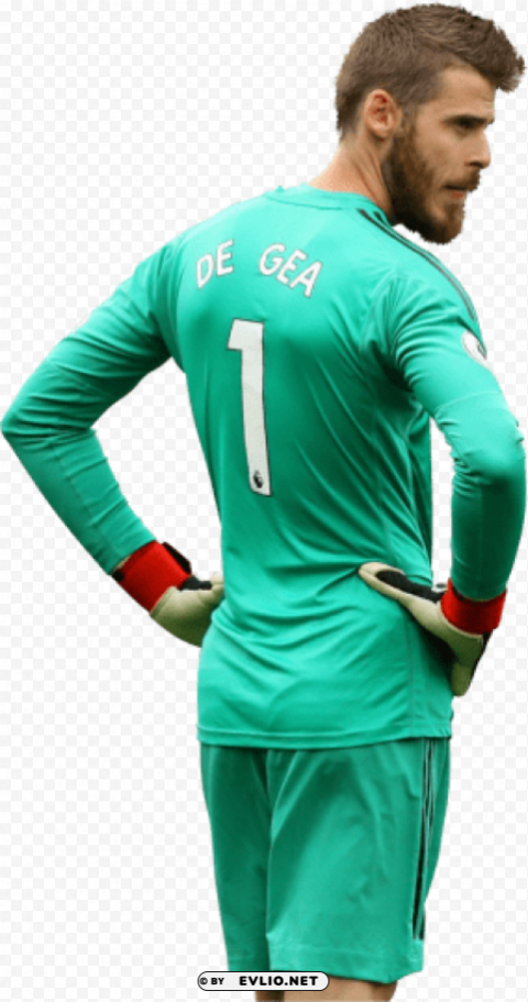 David De Gea PNG Graphic With Transparent Isolation