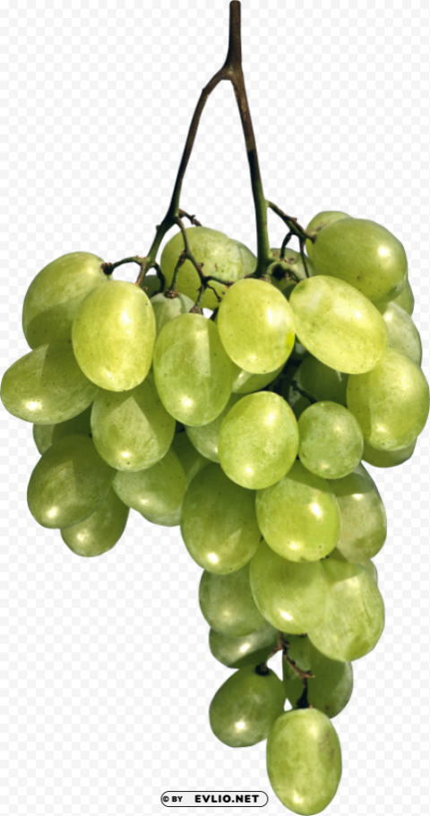 green grapes Isolated Subject with Clear PNG Background