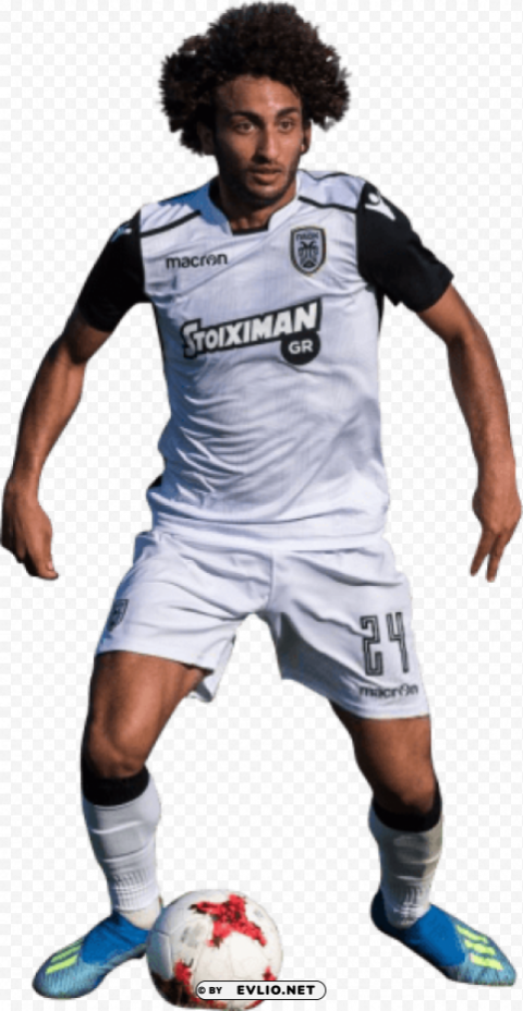 amr warda Isolated Object on Transparent PNG