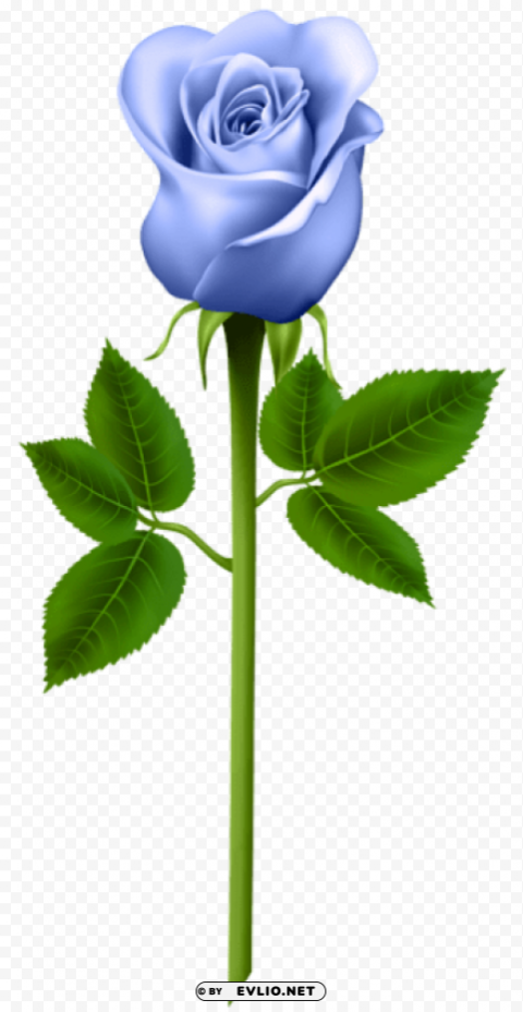 PNG image of blue rose HighResolution Isolated PNG with Transparency with a clear background - Image ID 9d53354a