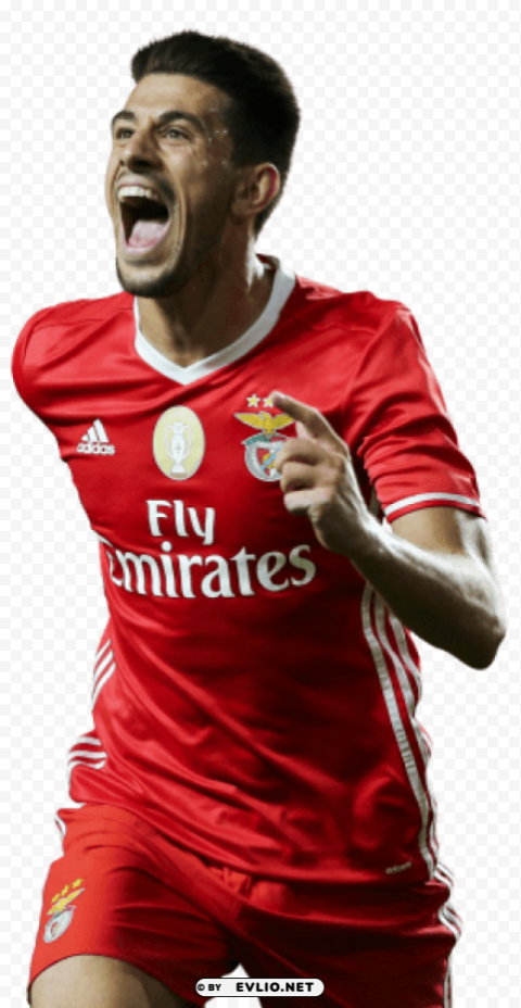 pizzi PNG images with high-quality resolution