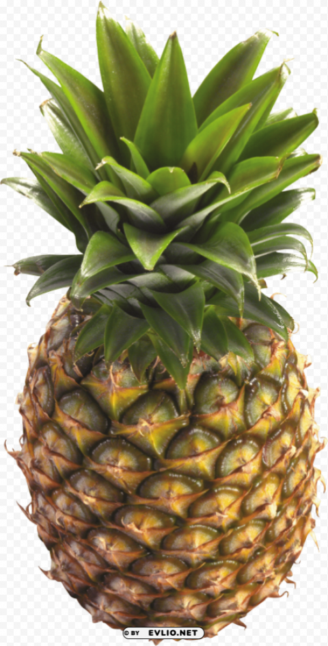 pinapple PNG images without restrictions