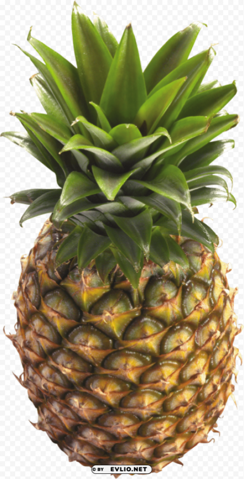 pineapple PNG Image Isolated with Transparent Clarity