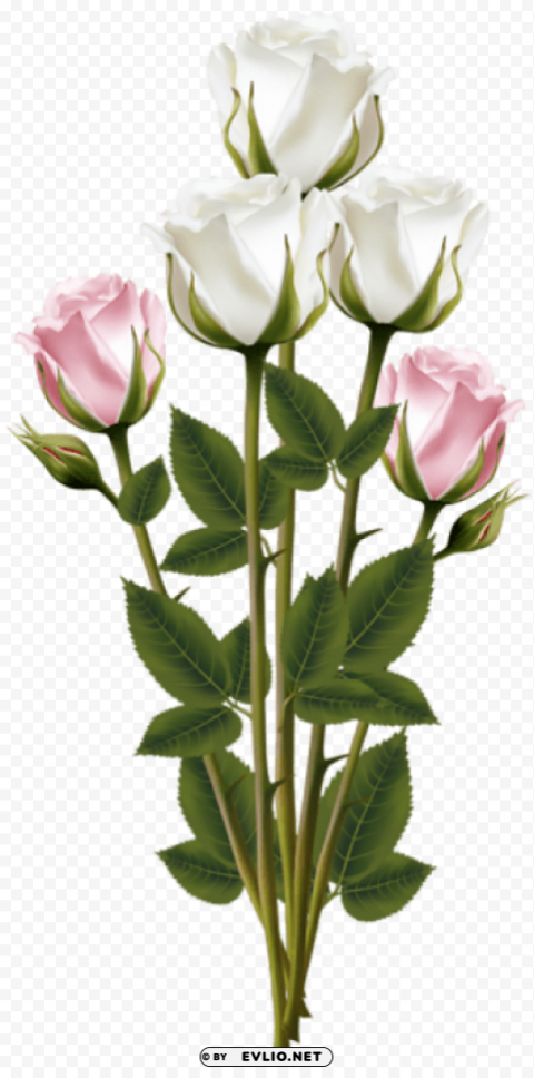 white and pink rose bouquet transparent PNG files with alpha channel