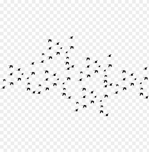 A flock of black birds Clear Background Isolated PNG Illustration