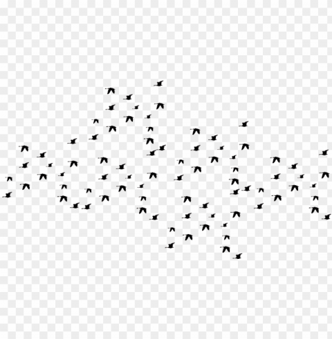 A Flock Of Black Birds Clear Background Isolated PNG Illustration