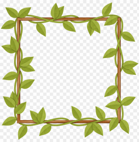 vine frame PNG file with no watermark