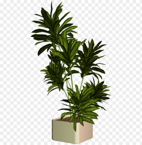 Plantas Para Render Transparent Background PNG Isolated Character