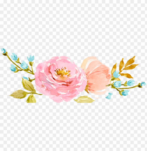 00 per syringe sculptra - watercolor flower flower border Isolated Graphic on Transparent PNG