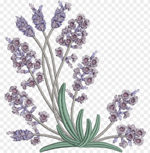 05 - lavender - embroidery pattern lavender flowers Clean Background Isolated PNG Art