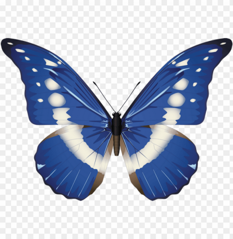 butterflies - background butterflies PNG transparent artwork