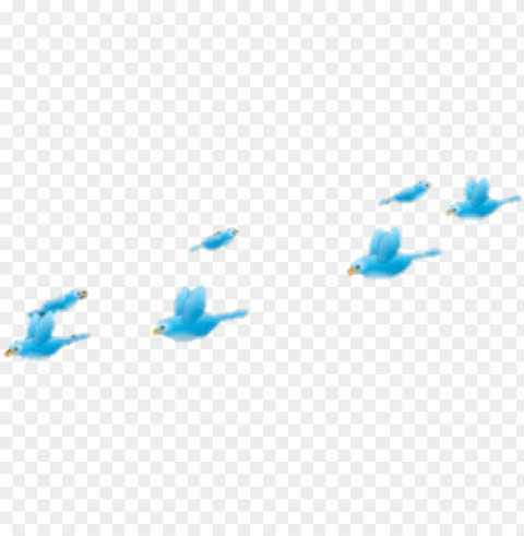 10 - blue bird picsart PNG graphics with transparent backdrop