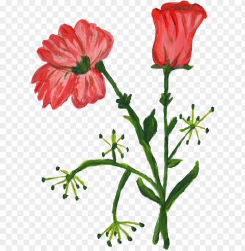 10 Paint Flower Onlygfx Com - Flower Paint Isolated Artwork In Transparent PNG