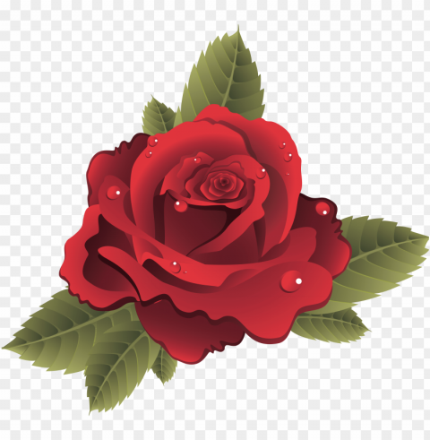 10 roses vector files images flower vector graphics - roses vector PNG without background