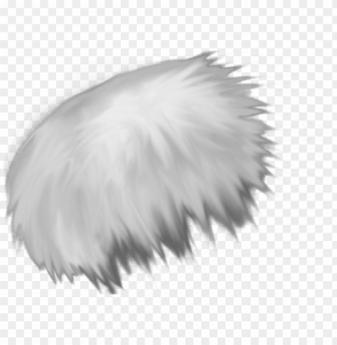 1006 x 477 10 - fur texture Clear Background Isolated PNG Illustration