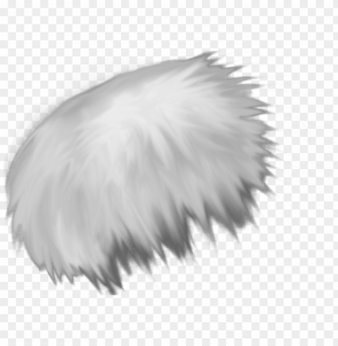 1006 X 477 10 - Fur Texture Clear Background Isolated PNG Illustration