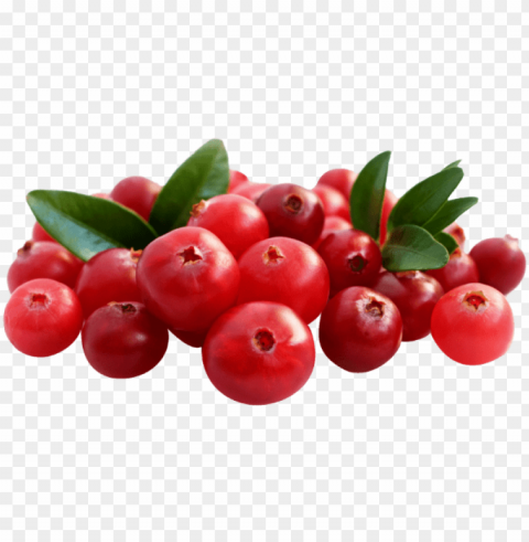 12 kg chopped cranberries - cranberry Transparent PNG pictures for editing