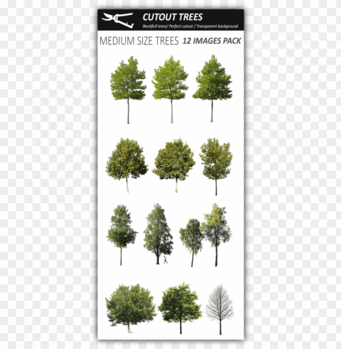 12 medium size trees pack - architecture High-resolution PNG