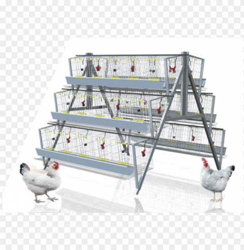 120 Birds Chicken Battery Cages - Battery Cages For Layers Clean Background Isolated PNG Art