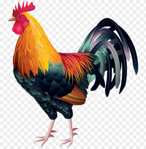 13 - rooster vector free download Clear PNG pictures assortment