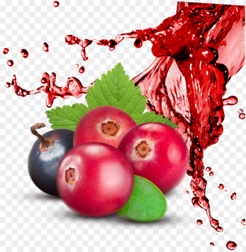 14 - Red Fruit Splash PNG Files With No Background Bundle