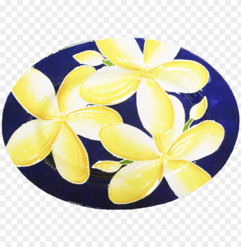 15 rim oval plumeria - frangipani PNG transparent photos for design
