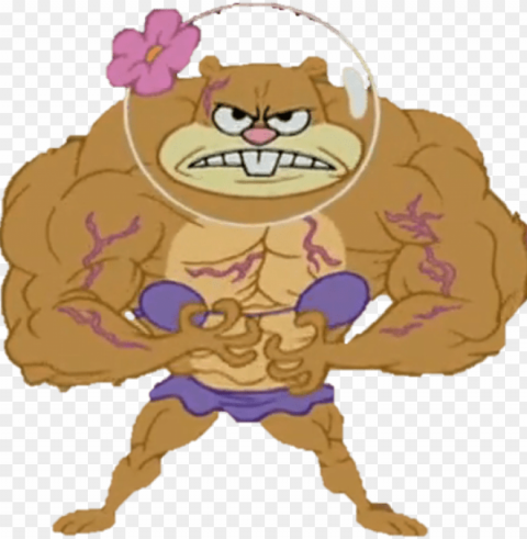 15 spongebob muscle for free download on mbtskoudsalg - sandy cheeks Transparent Background PNG Isolated Element