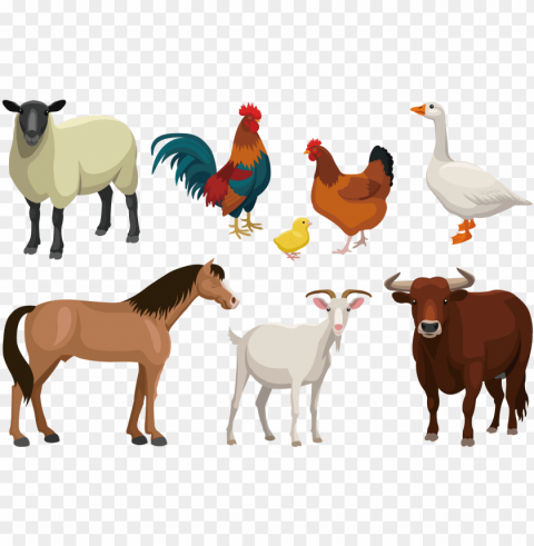 1500 x 1500 6 - farm animals free Transparent PNG images complete library