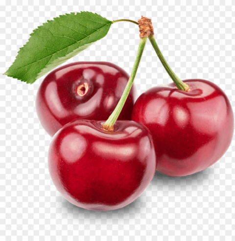 17 red cherry image download - cherry PNG files with clear background variety