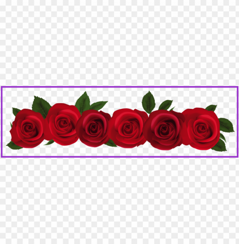 18 ideas of pink rose flower border - rose flower border clipart Transparent PNG images collection