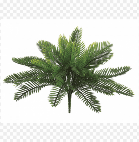 18 inch plastic cycas palm bush with 30 leaves green - silk plants direct cycas palm plant - green - pack Isolated Element on Transparent PNG