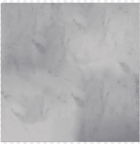 1818 white pearl - marble PNG graphics with clear alpha channel selection