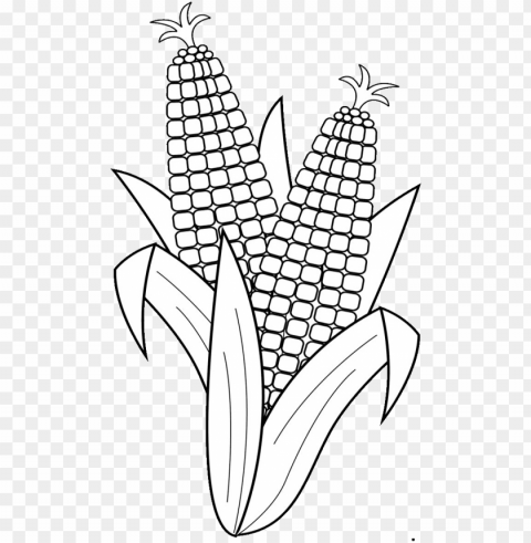 19 corn clip black and white drawing huge freebie download - fruits and vegetables clipart black and white PNG images without licensing