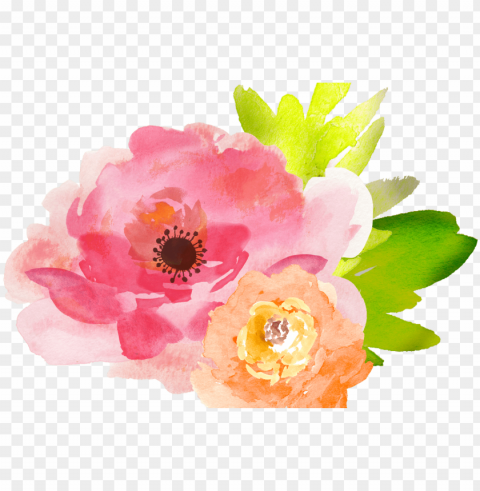 19 free watercolor flower graphic download - flowers watercolour clipart PNG Image with Transparent Isolation