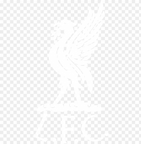 1970s - liverpool liverbird Clear background PNG images comprehensive package PNG transparent with Clear Background ID 77b57154