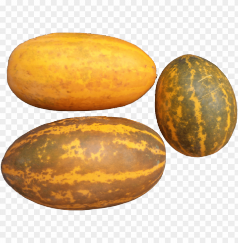 2 jackfruit seeds 30 nos - kerala cucumber Clear PNG image