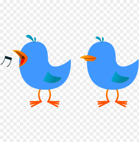 2 little dicky birds PNG photo without watermark