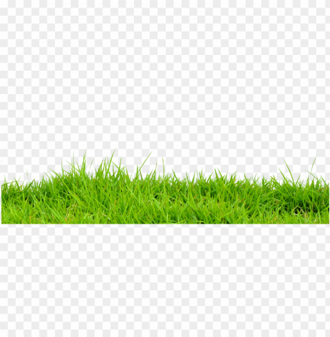 2016 teamscaping inc - cb edit grass PNG with transparent background for free