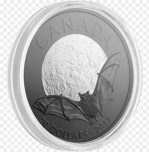 2017 canada $20 brown bat - quarter PNG free transparent